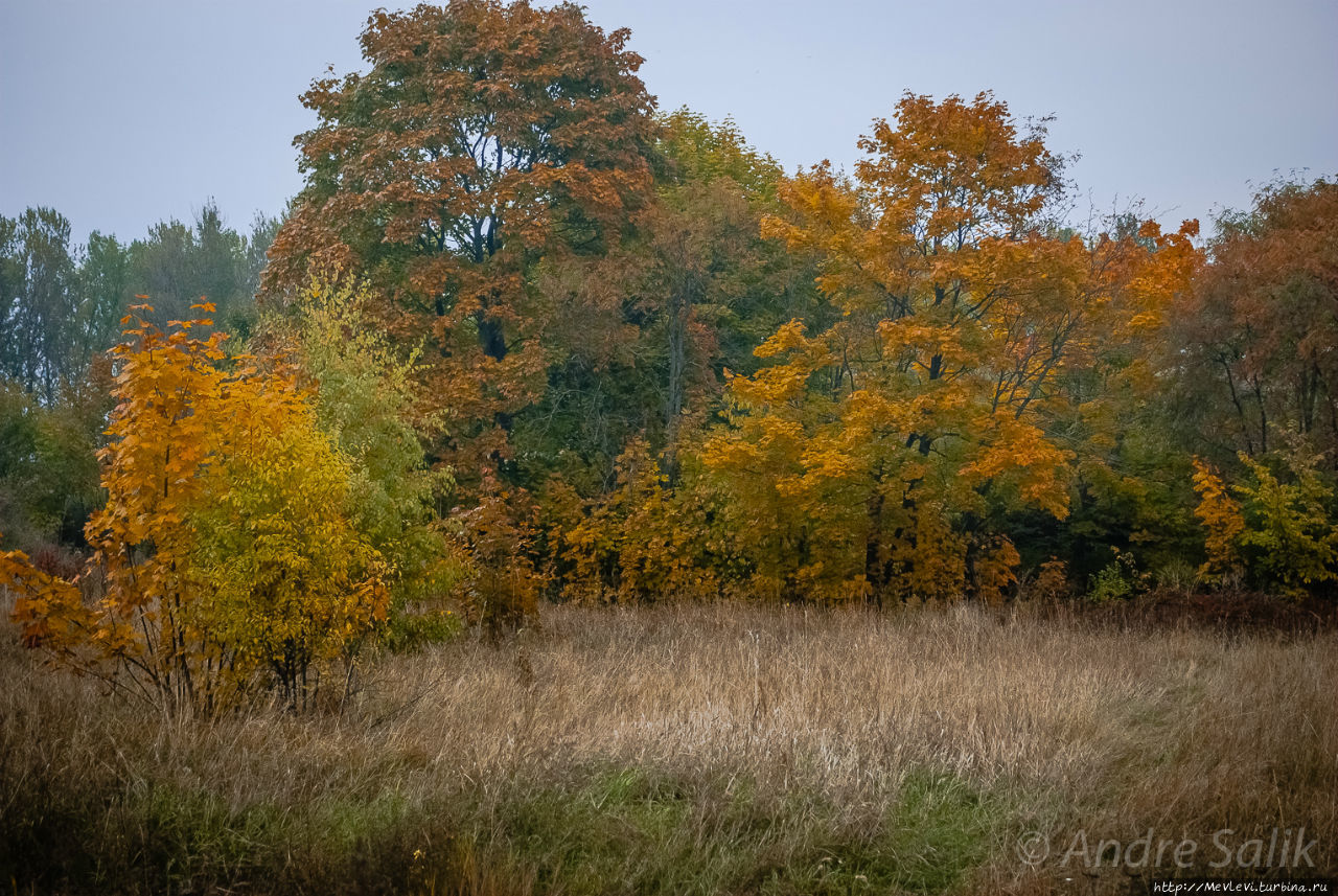 Красивая осень!!! Рига, Латвия