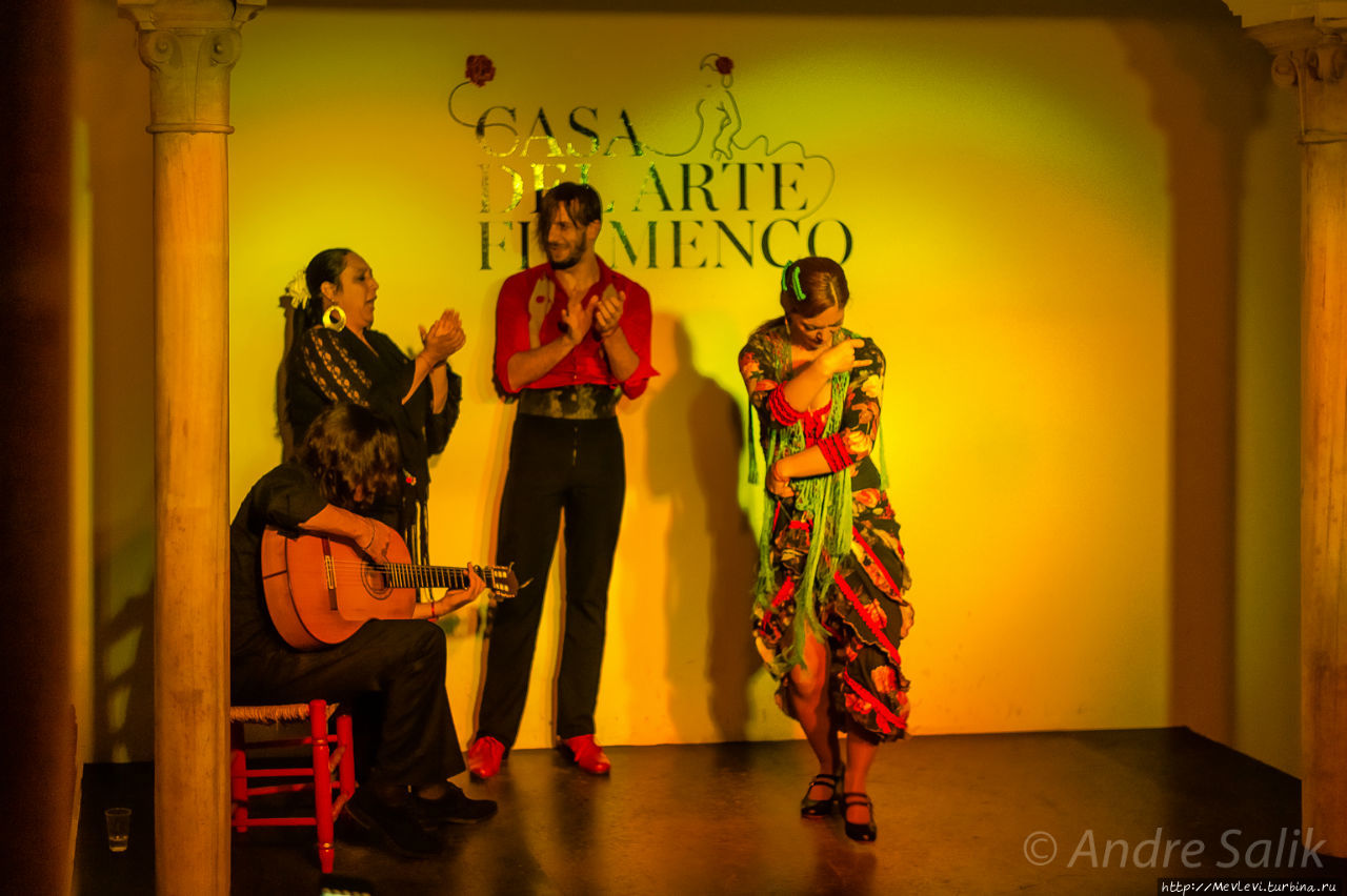Casa del Arte Flamenco Гранада, Испания
