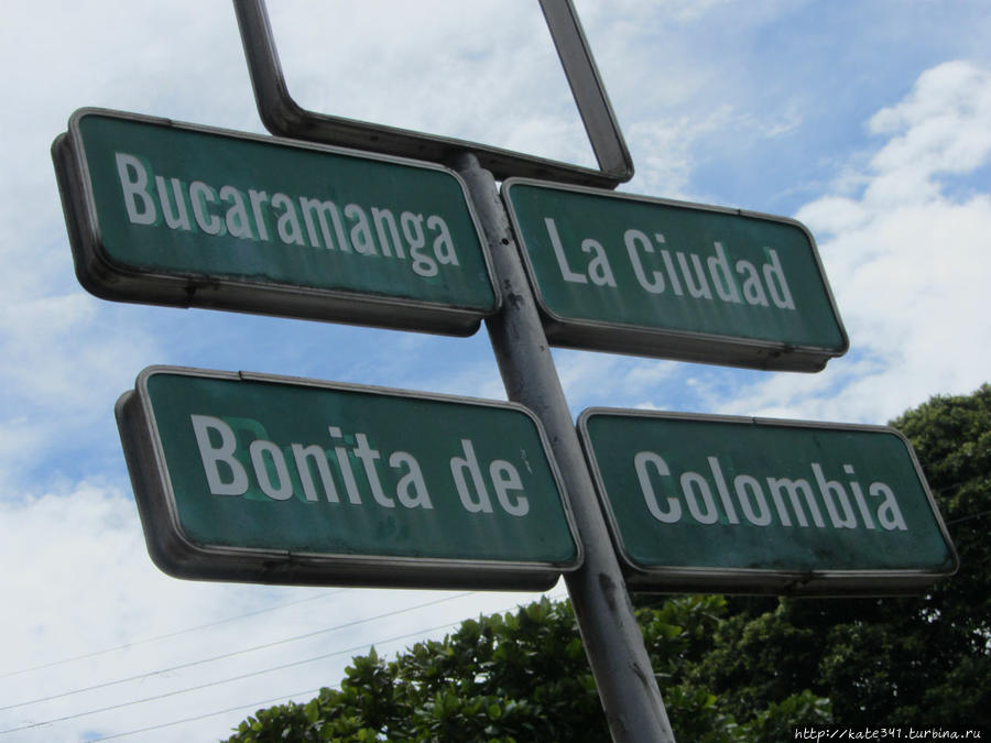 Первые недели в качестве колумбийского эмигранта Букараманга, Колумбия