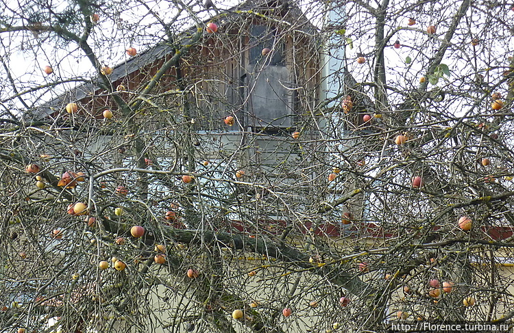 Ноябрь. Пос.Рассказовка, 