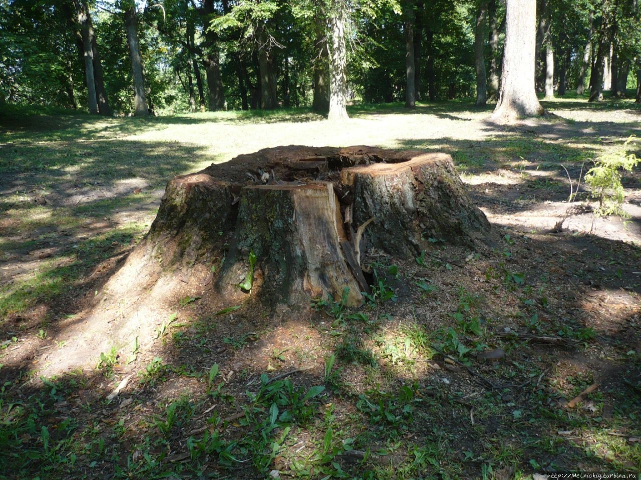 Гдов – город вдов Гдов, Россия