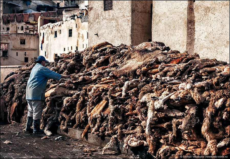 Рядом, на машинах из ближайших скотобоен, свозят свежие шкуры и вываливают большими кучами. Фес, Марокко