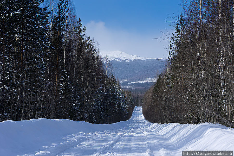 Липовая гора карпинск