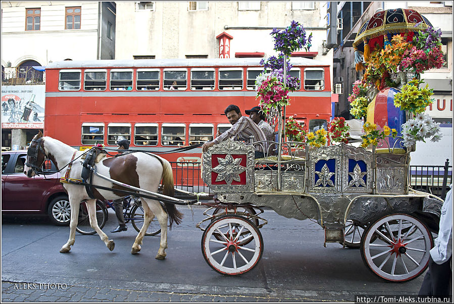 Лошадки и кареты на фоне двухэтажных автобусов...
* Мумбаи, Индия