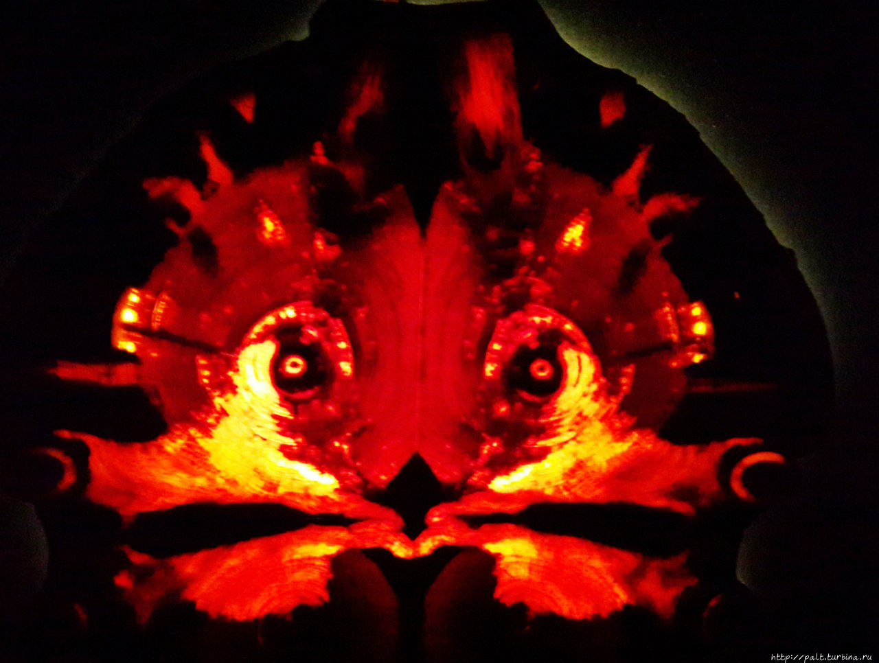 Тигренок. Кстати, в музее