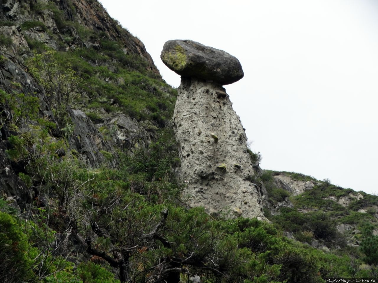 Урочище каменных грибов. Горный Алтай. Аккурум урочище каменных грибов, Россия