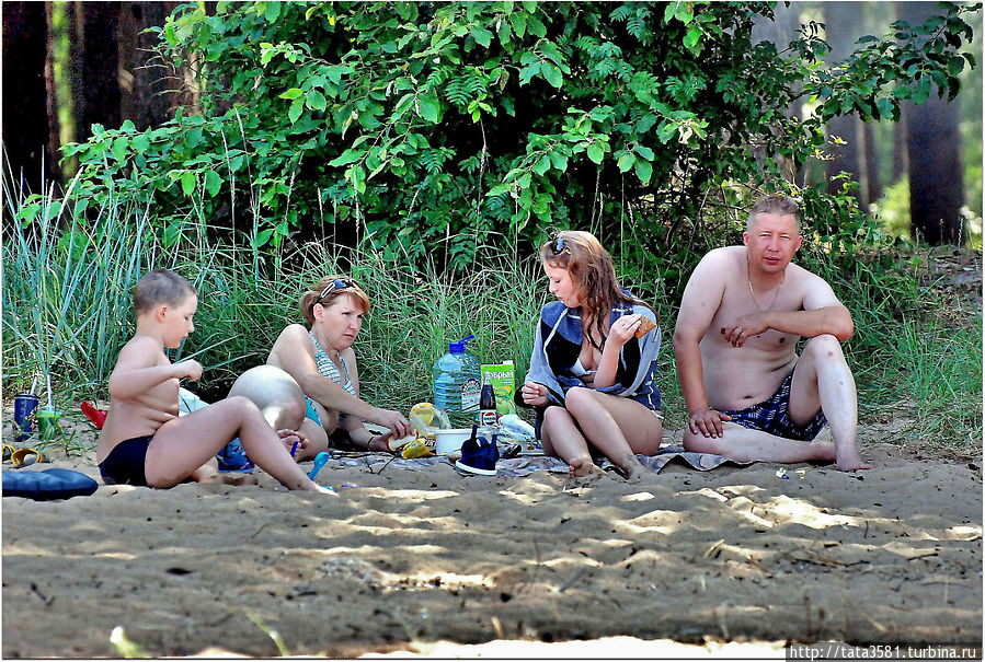 Кто-то в тени валяется и поглощением пищи наслаждается Сосновый Бор, Россия
