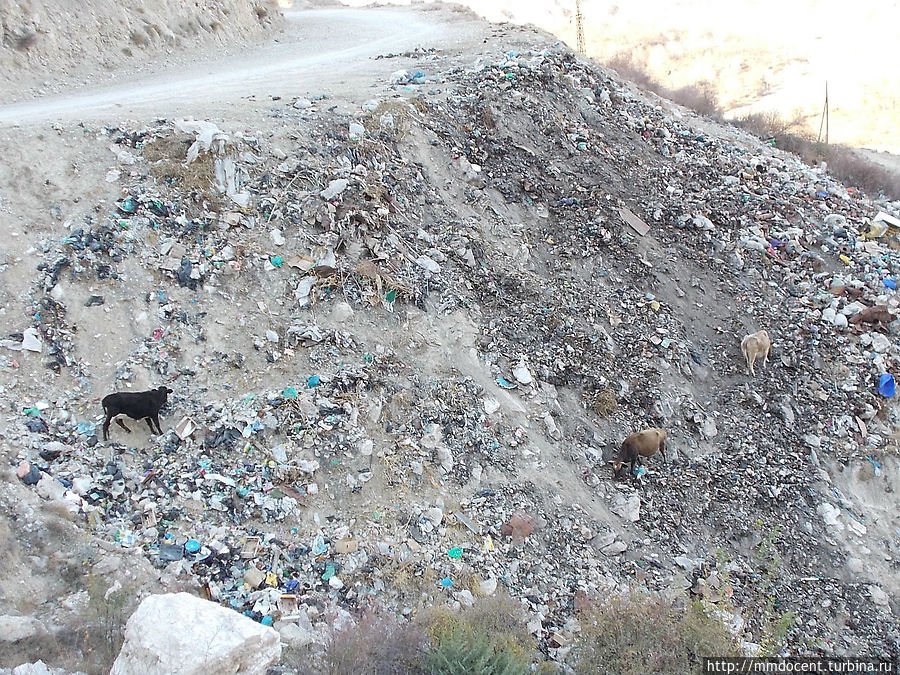 На окраине Ботлихского района Ботлих, Россия