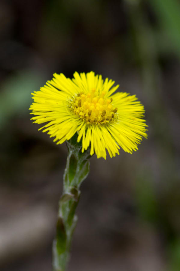 Живность вокруг нас Днепропетровская область, Украина