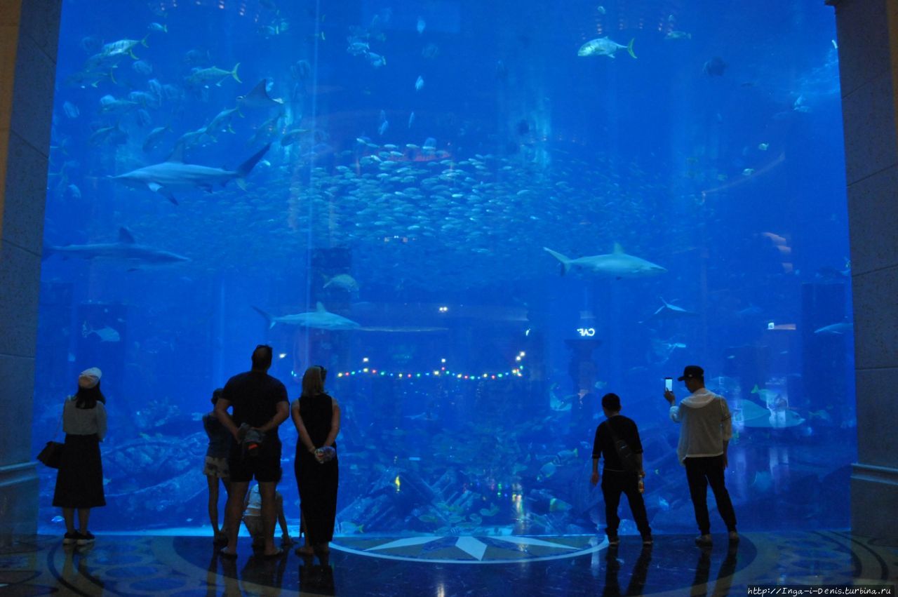 Atlantis The Palm Дубай, ОАЭ