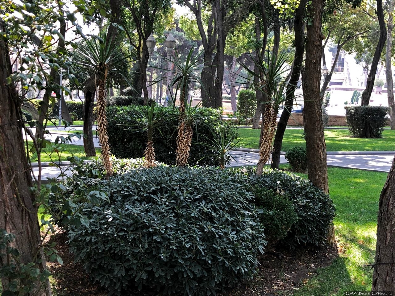Сад Филармонии Баку, Азербайджан