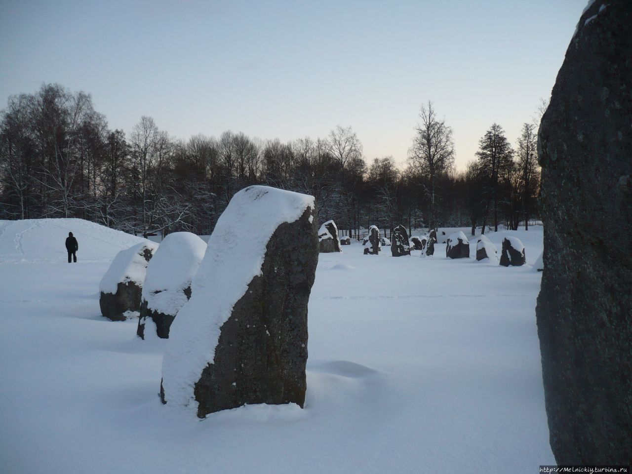 Курганы древних викингов Вестерос, Швеция