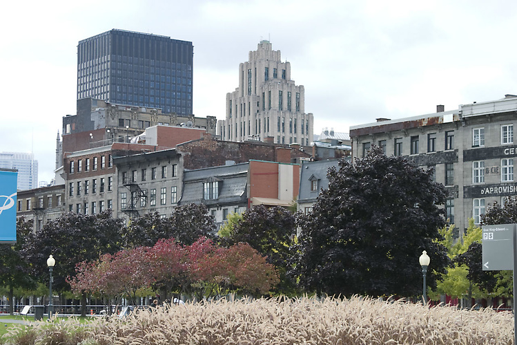 Здесь, конечно, хорош чер