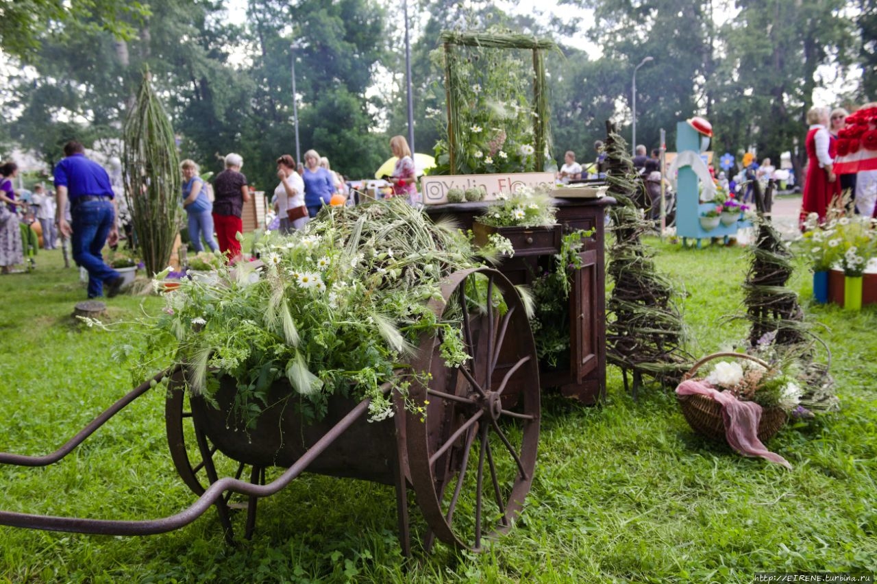 Прошлым летом, в цветочном городе. Новокузнецк, Россия