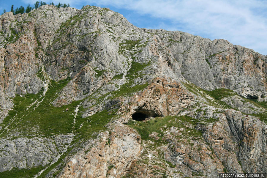 Пещера находится на высоте 52 метра. В ней ведутся раскопки и еще не раскрыты все интересные тайны этого места. Но известно точно — тут жили люди! Республика Алтай, Россия