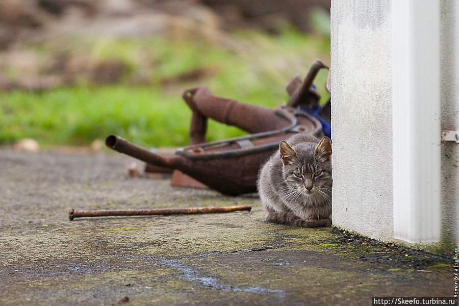 Эти ребята живут у ресторана, вот кто хорошо устроился.