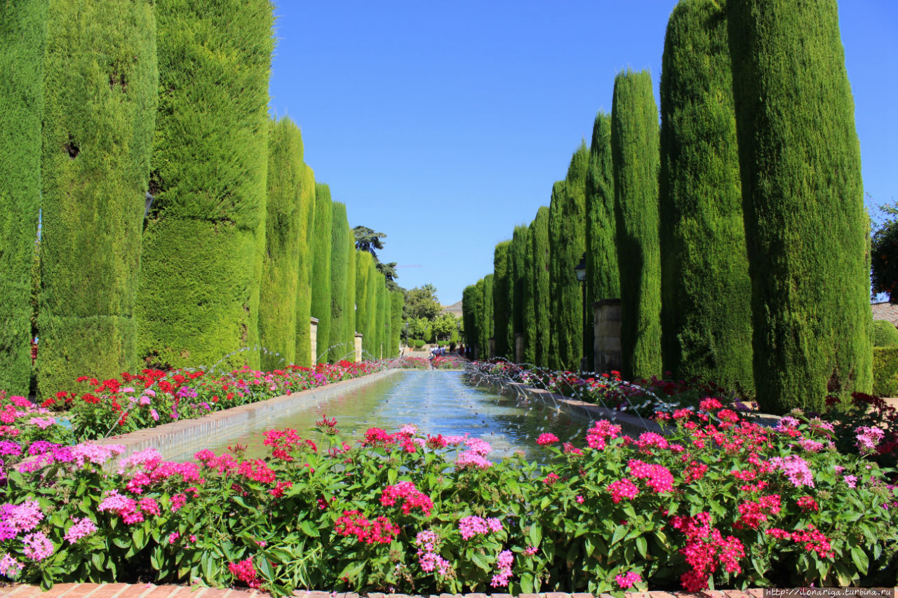 А в городе том — сад, все травы да цветы Кордова, Испания