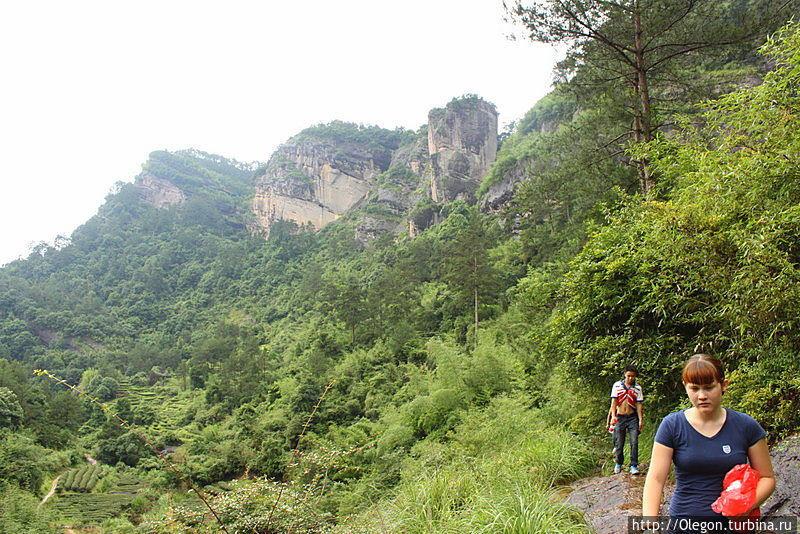 Вдоль утёсов, по полям чайным Уишань, Китай