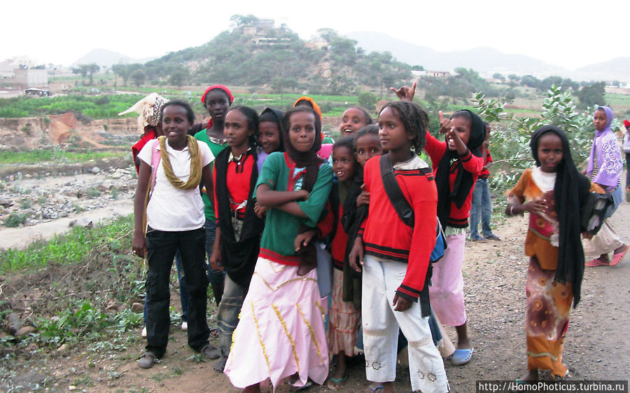 Эритрейцы кто. Эритрейцы кто. Эритрейцы. Тиграи эритрея. Тиграи эритрея.