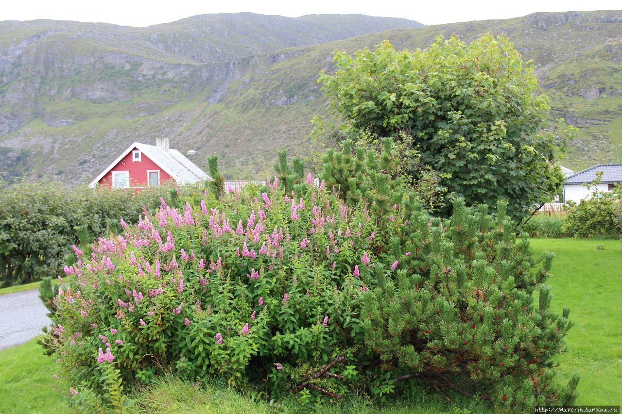 Остров Годёй — прогулка по живописному острову Годёй, Норвегия