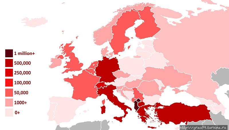 (Из Интернета)