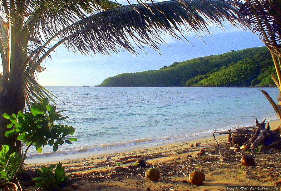 По берегам острова много кокосовых пальм Остров Дравака, Фиджи