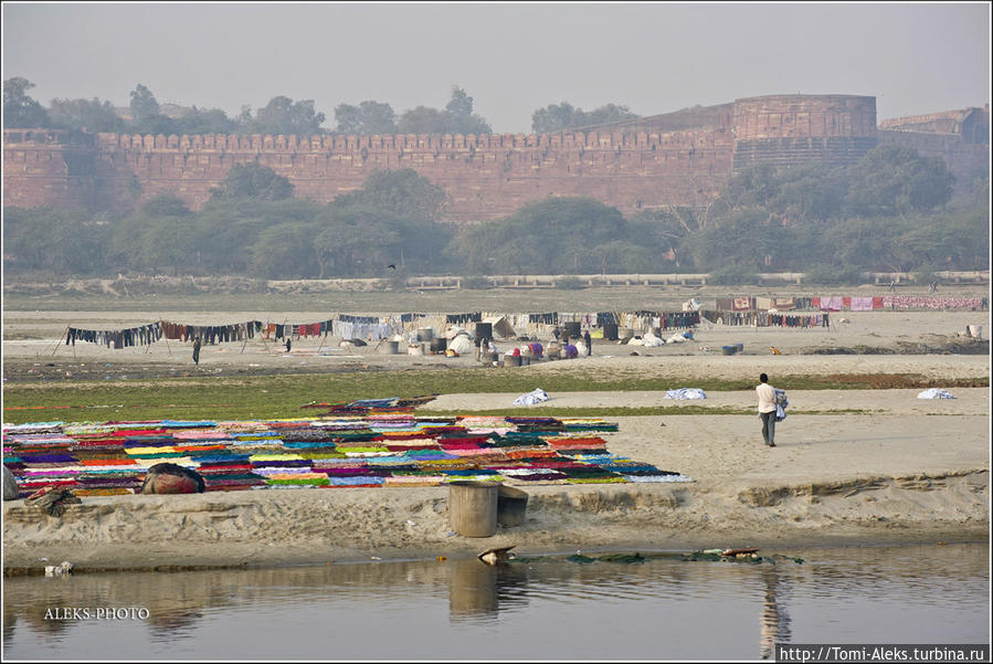 Большая стирка в реке Ямуна (Индийские Приключения ч50) Агра, Индия