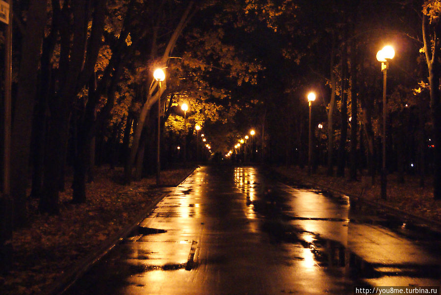 Музыка на улице ночью. Ночь улица фонарь. Улица ночью. Ночь улица парк. Осенняя ночь в городе.