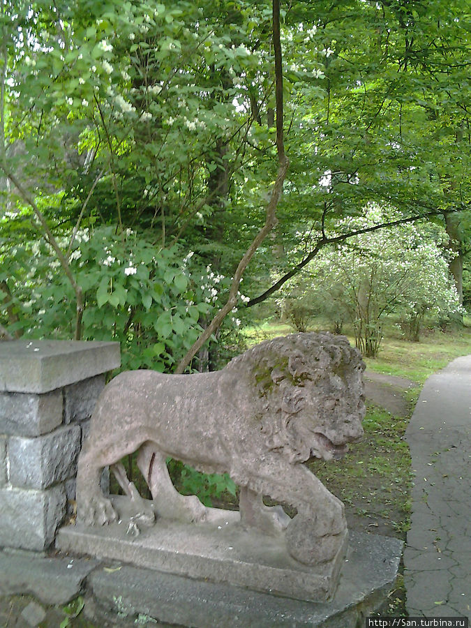 Замковую лестницу до сих пор охраняют львы, порядком одряхлевшие. Конопиште, Чехия