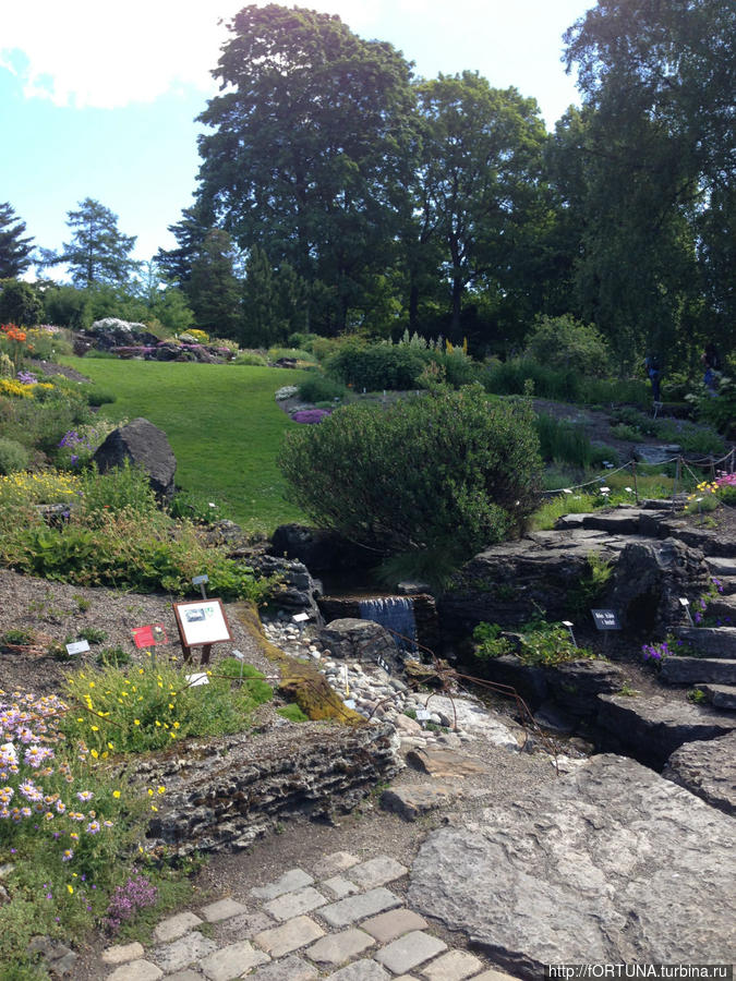 Цветущий Ботанический сад Осло, Норвегия