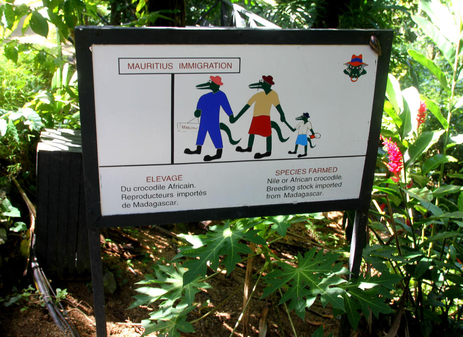 Гигантские черепахи заповедника Ла Ваниль Ля Ваний Резерв де Маскарен (природный парк), Маврикий