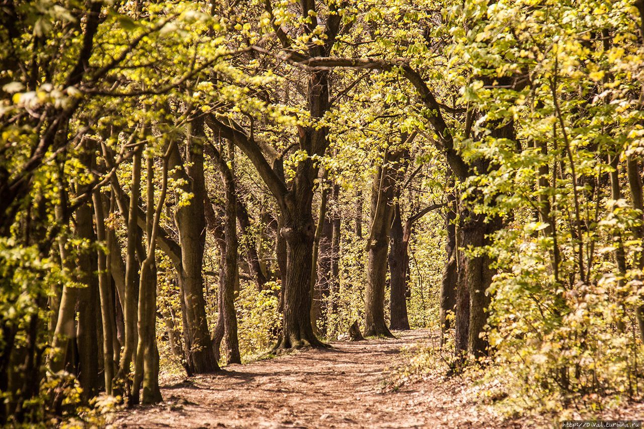 Солнца теплая купель — апрель Теплице, Чехия