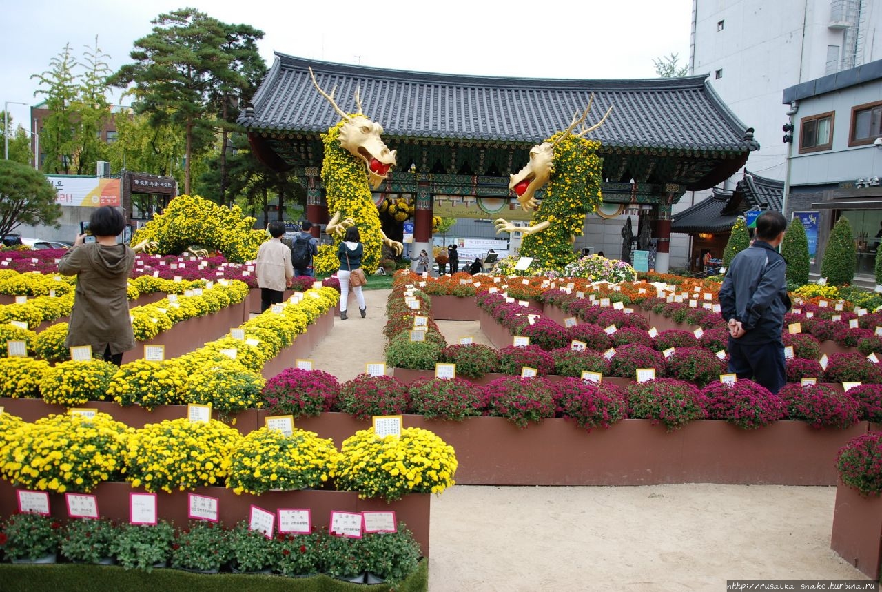 Храм Чогеса Сеул, Республика Корея