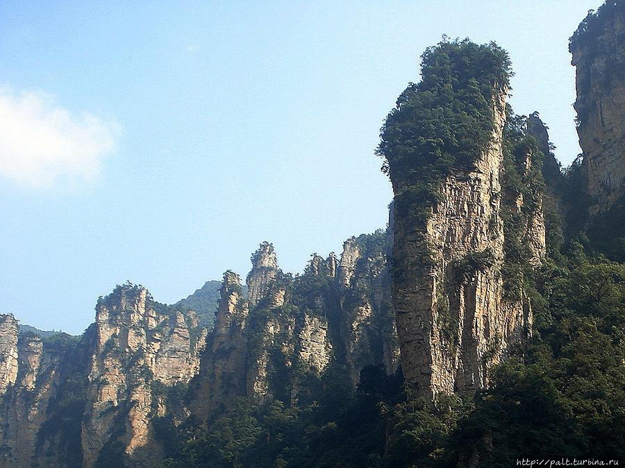 Устремленные ввысь гиганты Улиньюаня около Байлонга Чжанцзяцзе Национальный Лесной Парк (Парк Аватар), Китай
