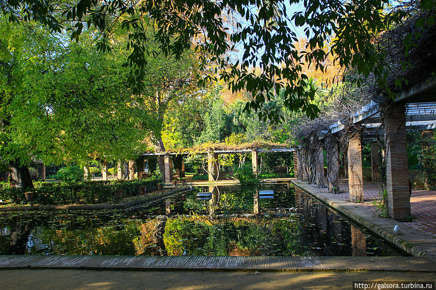 Площадь Испании Севилья, Испания