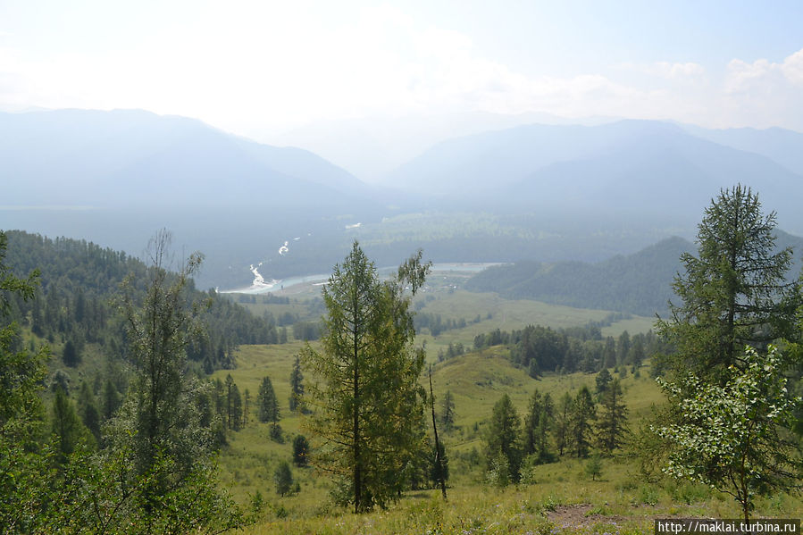 Вид на место впадения реки Кучерла в Катунь. Республика Алтай, Россия