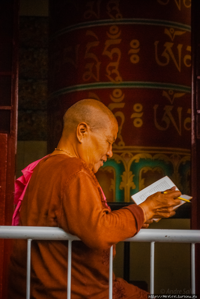 Озеро в Ревалсаре, Индия Штат Химачал-Прадеш, Индия