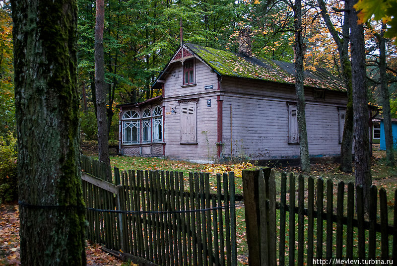 Вецаки латвия