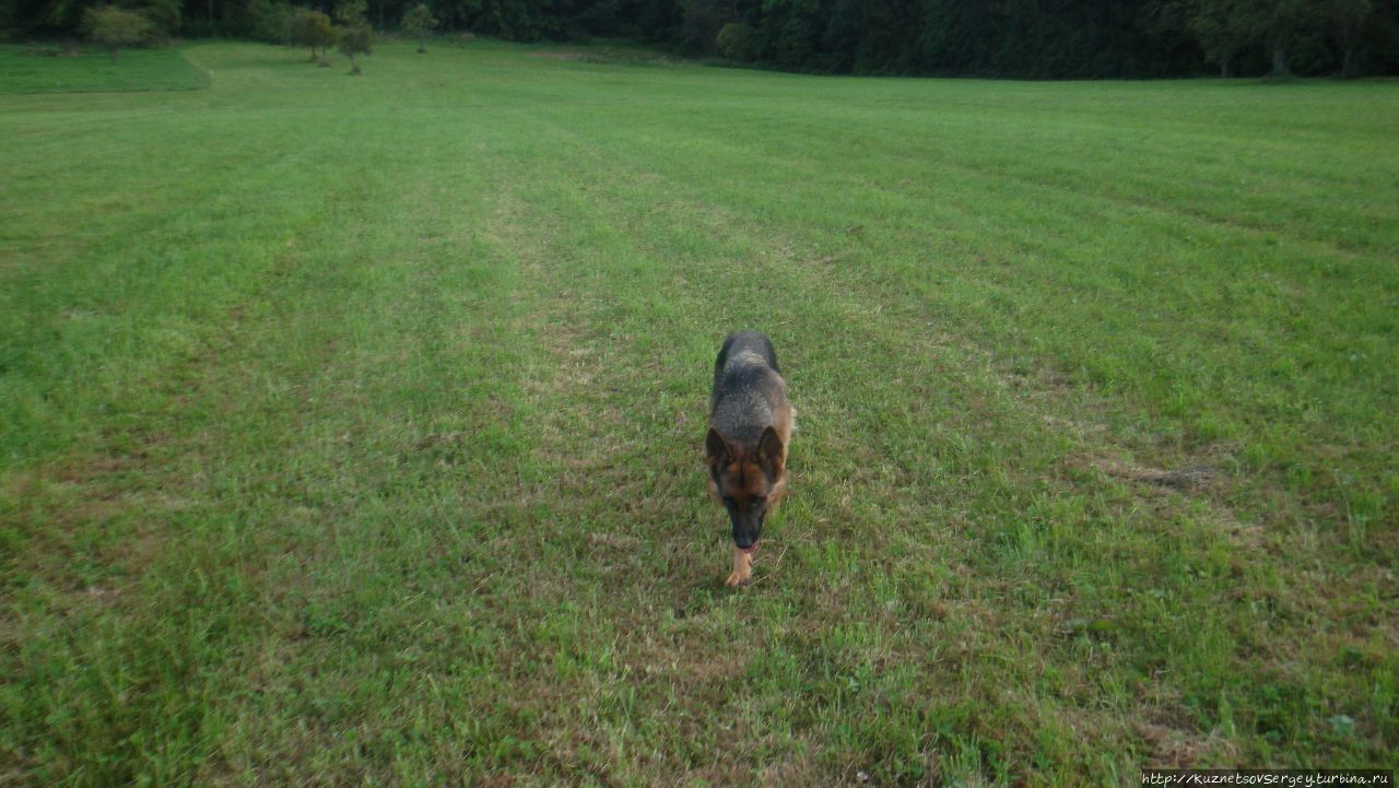 Зигер в Ульме Ульм, Германия