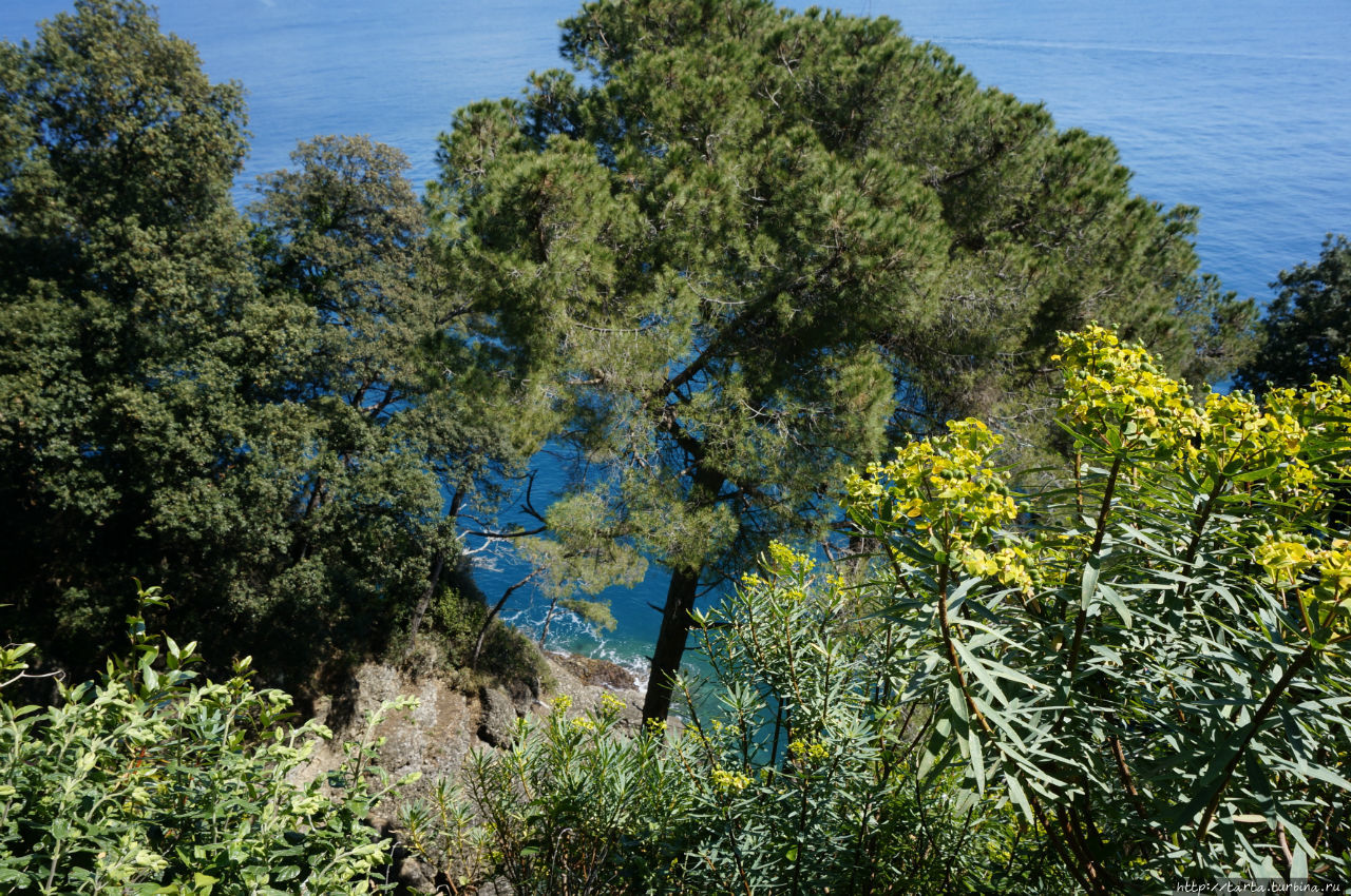 Прогулка по парку-заповеднику или час наедине с природой Портофино, Италия