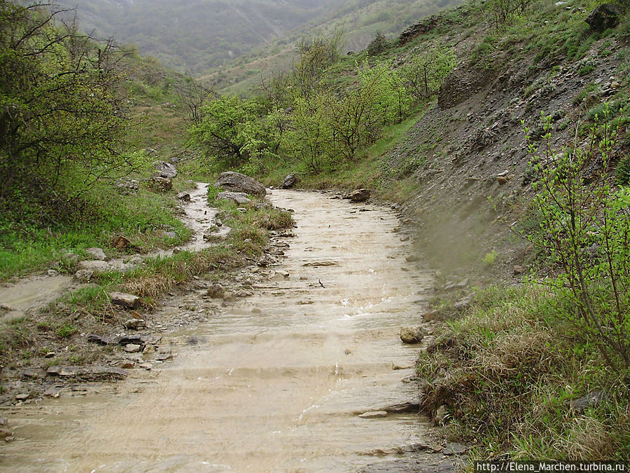 Путь в урочище лежит через живописное ущелье по дну которого течет река Арпат, а точнее ее правый приток — Пананьян-Узень 