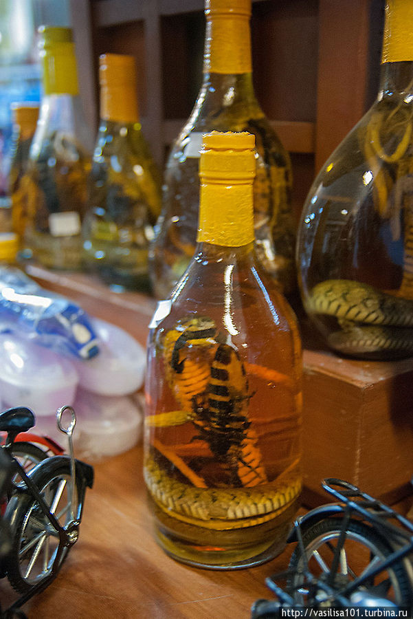 Сувенир: в бутылке кобра, держащая в пасти скорпиона Сиемреап, Камбоджа