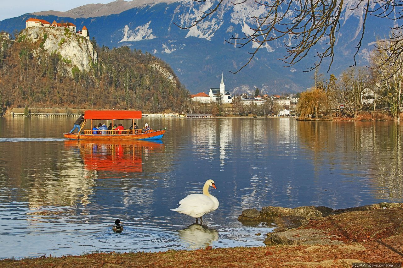 Блед. Райский уголок Словении Блед, Словения
