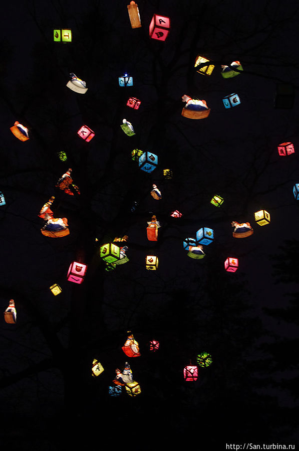 одно из деревьев возле Ратуши