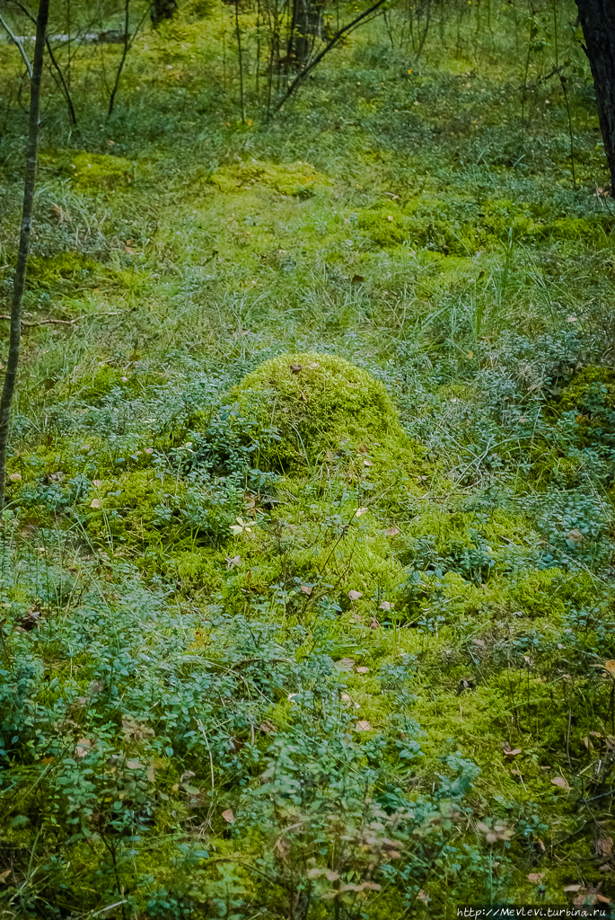 Остров Буллю Рига, Латвия