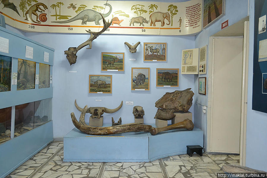 сайт минусинского музея. город минусинск музей мартьянова. минусинский краеведческий музей. мартьянова минусинск. краеведческий музей минусинск.