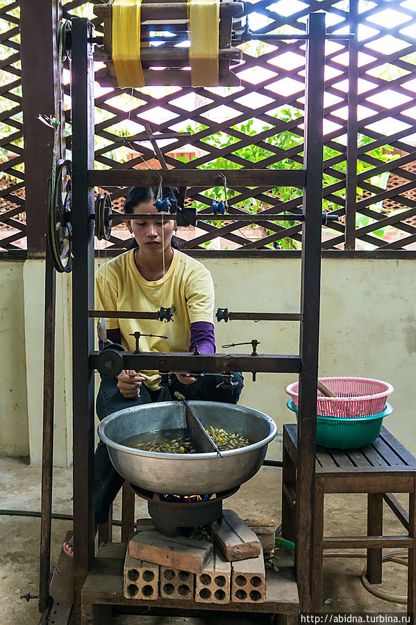 Работницы бросают его в кипяток, чтобы начала разматываться нить Провинция Сиемреап, Камбоджа