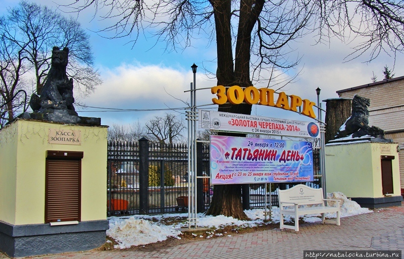 Касса в зоопарке
