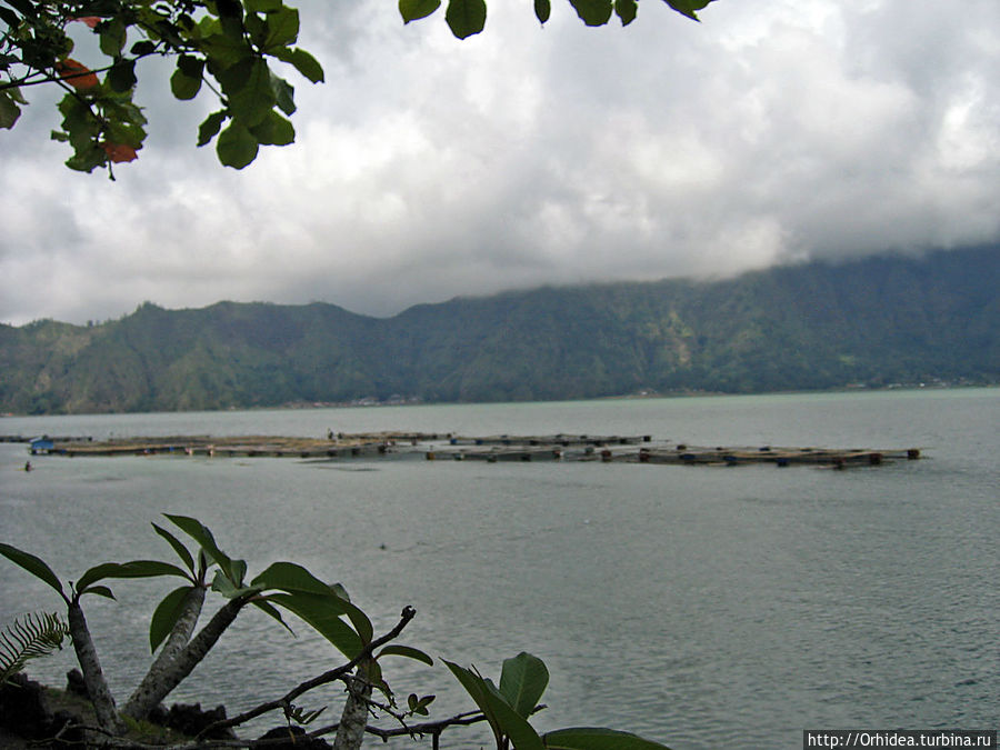 Кратерное озеро Батур на фоне вулкана Кинтамани Данау-Батур, Индонезия