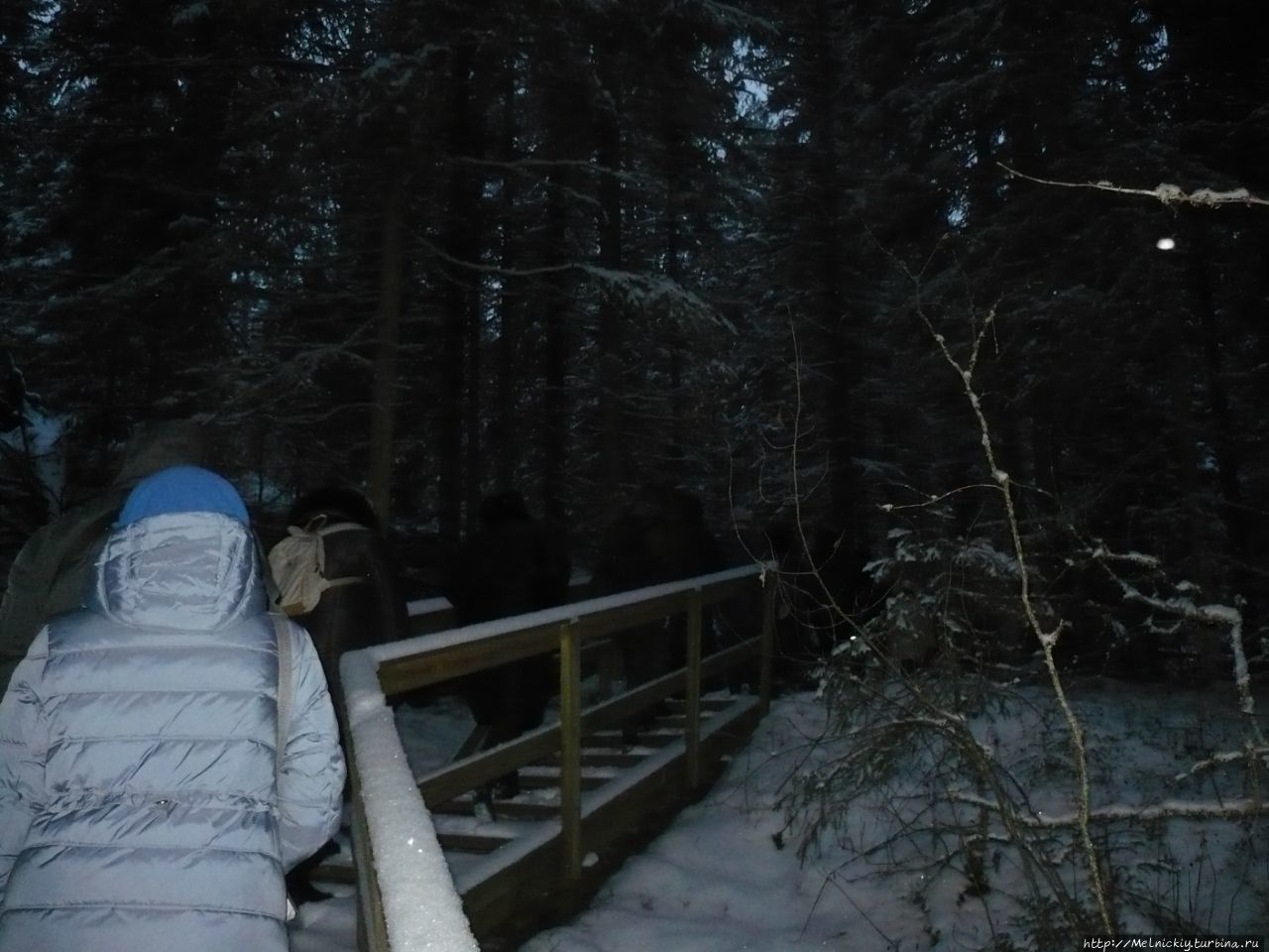 Национальный парк Хелветинярви Руовеси, Финляндия